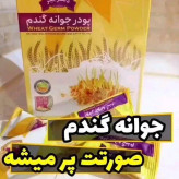 پودر جوانه گندم برند بین استار پک دو عددی برای افزایش وزن صورت و بدن اصل و اورجینال